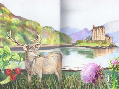 Journal 11 - Scottie