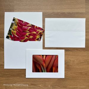Photo Frame Cards
