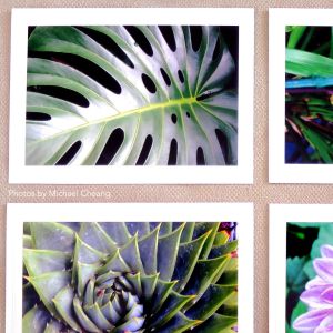 Photo Mount Cards – Classic Emboss