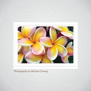 Photo Mount Cards – Classic Emboss