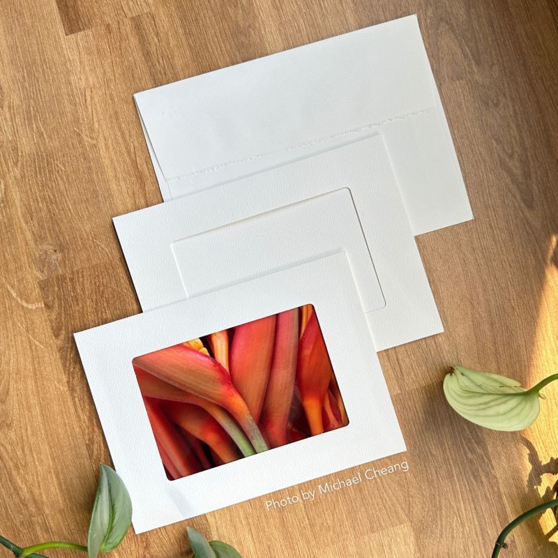 Card shop photo frames