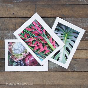 Photo Mount Cards – Classic Emboss