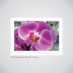 Photo Mount Cards – Classic Emboss