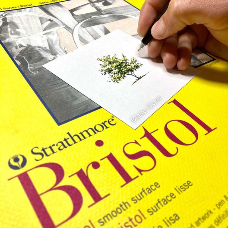 Lot of 2 Strathmore 300 Series Bristol Paper 11 x 17 Inches 100# 24 Sheets  Each