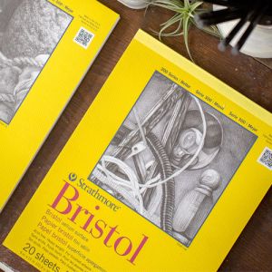 Strathmore Bristol Board: 20 Pages, 270 gsm (100lb), Paperback