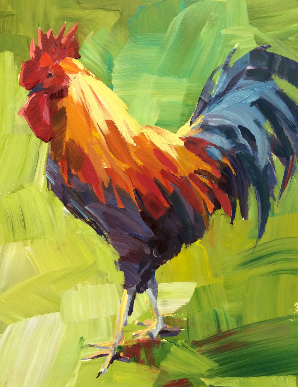 Colorful Rooster