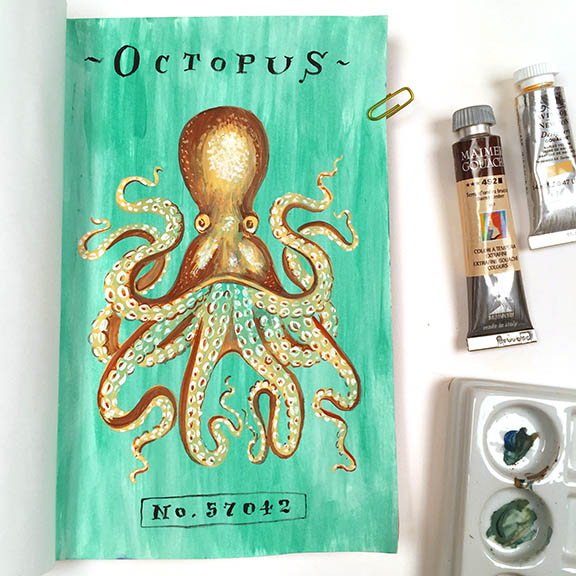 Octopus