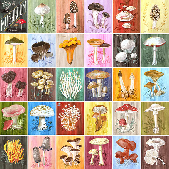 Mushrooms