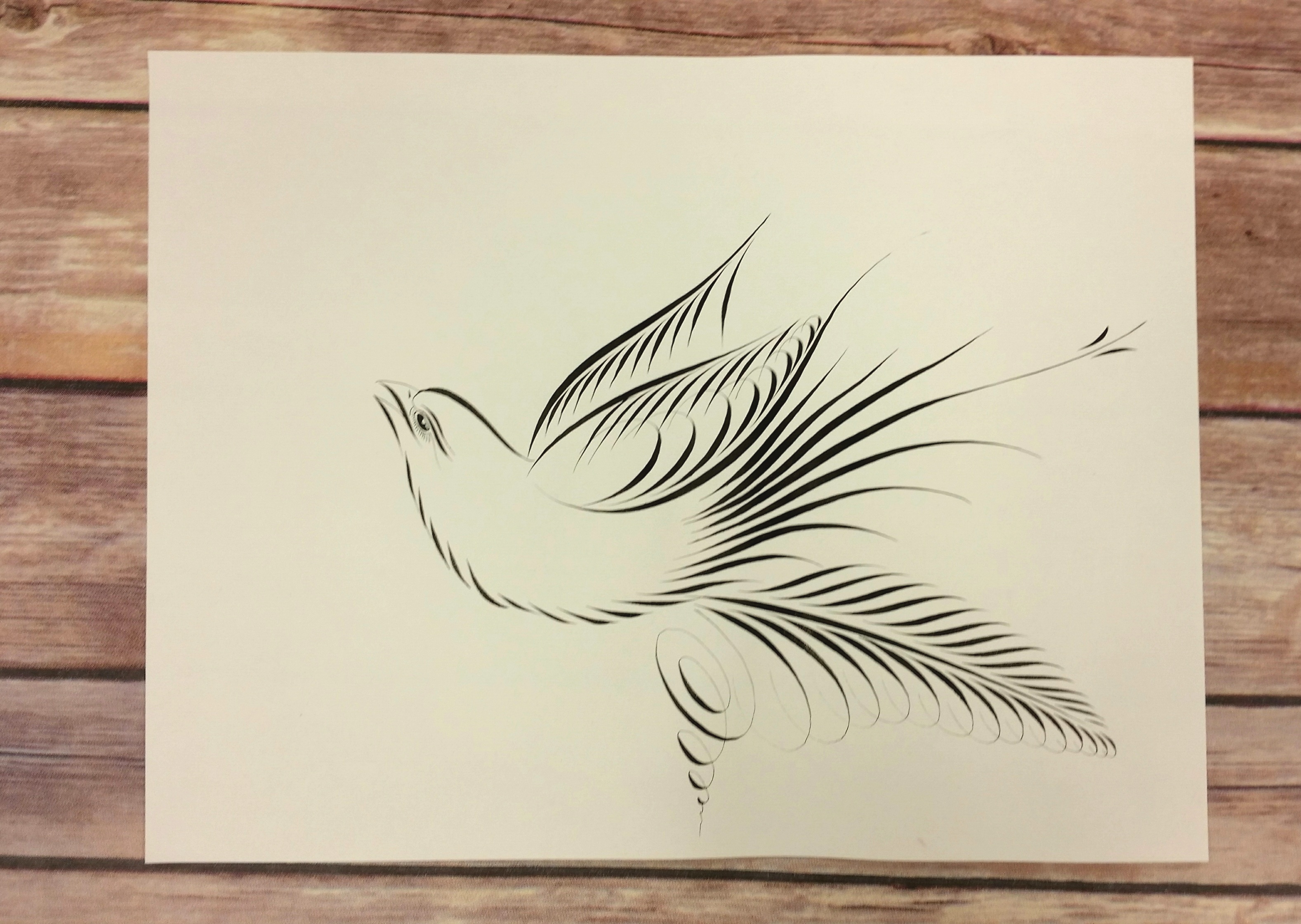 Jake Weidmann Bird