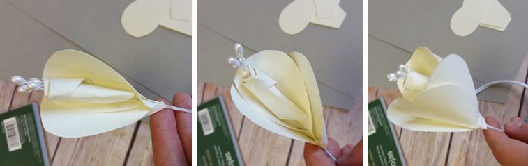 Adding Petals