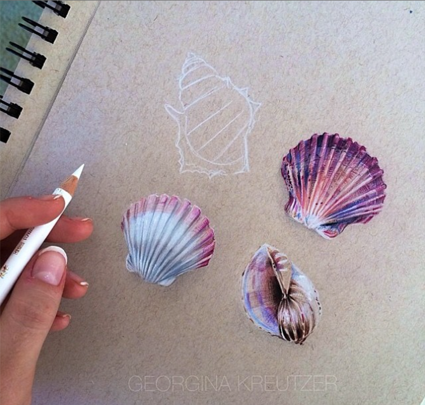 Shells