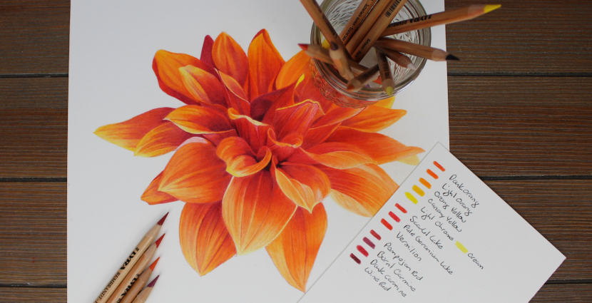 Learn Colored Pencil Techniques and How to Create a Trio of Flowers |  Envato Tuts+