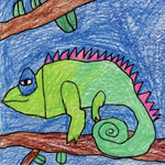 How to Draw a Chameleon