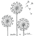 Dandelion Doodles