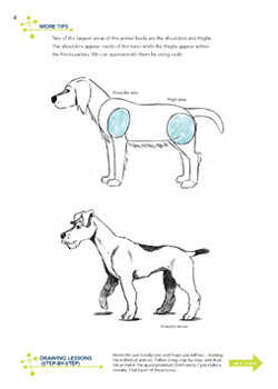 Learn To Draw Animals Strathmore Artist Papers