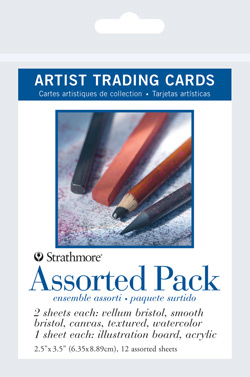 Strathmore 105-905 400 Series Acrylic Artist Trading Cards, Linen Canvas, Natural White, 10 Sheets 